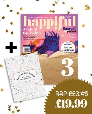 Happiful Christmas 3-Month Gift Subscription